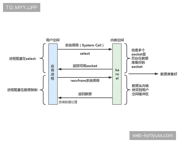 VAR到底在什么情况下才会介入？一文说清介入标准与争议边界